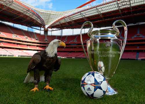 是否会改写 是否会改写